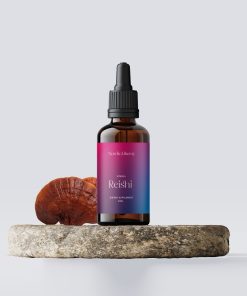 Reishi Tinktur och Svamp