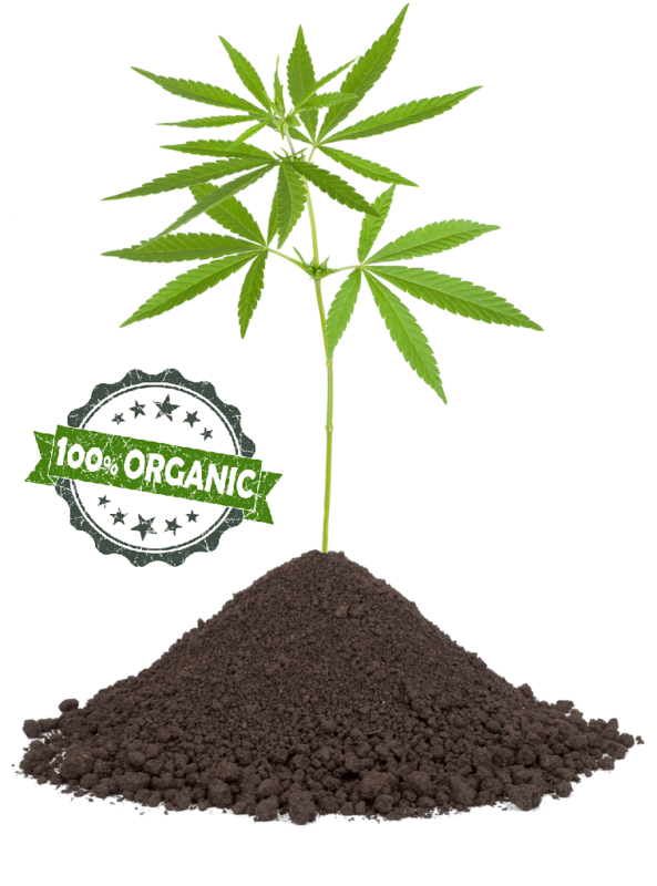 100% Organic Hemp