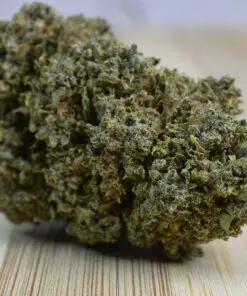 Lemon Haze 2025