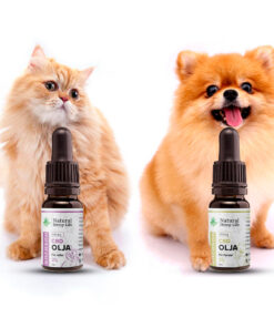 CBD Oils for cats and dogs