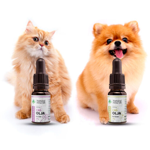 CBD Oils for cats and dogs